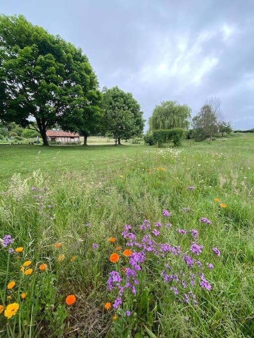 Vila Spacious Country House In Normandie Moulins-le-Carbonnel Exteriér fotografie